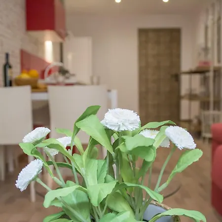 Apartment Palace *